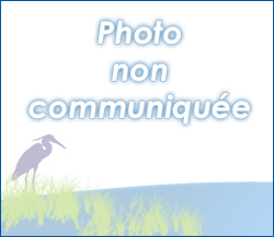 Annuaire - Haute-Saone 